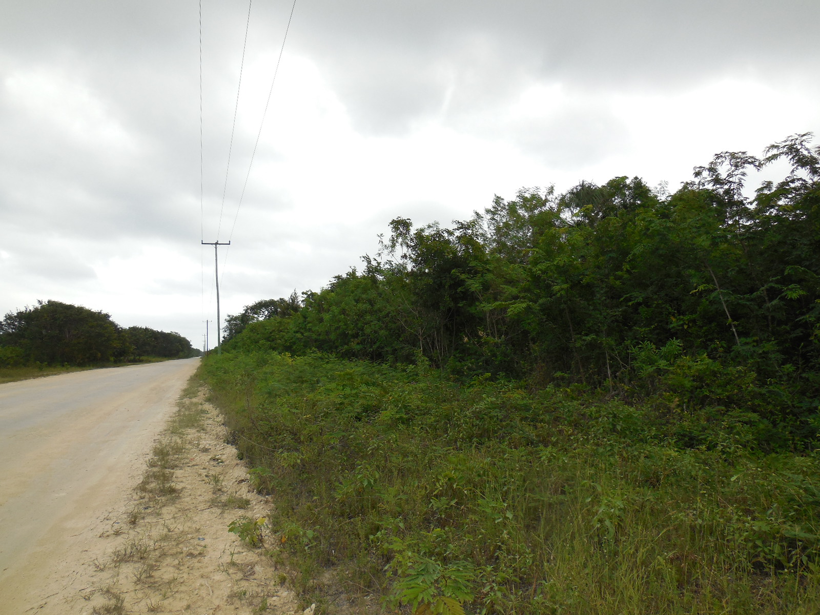 Consejo Road Acreage Lot 1808