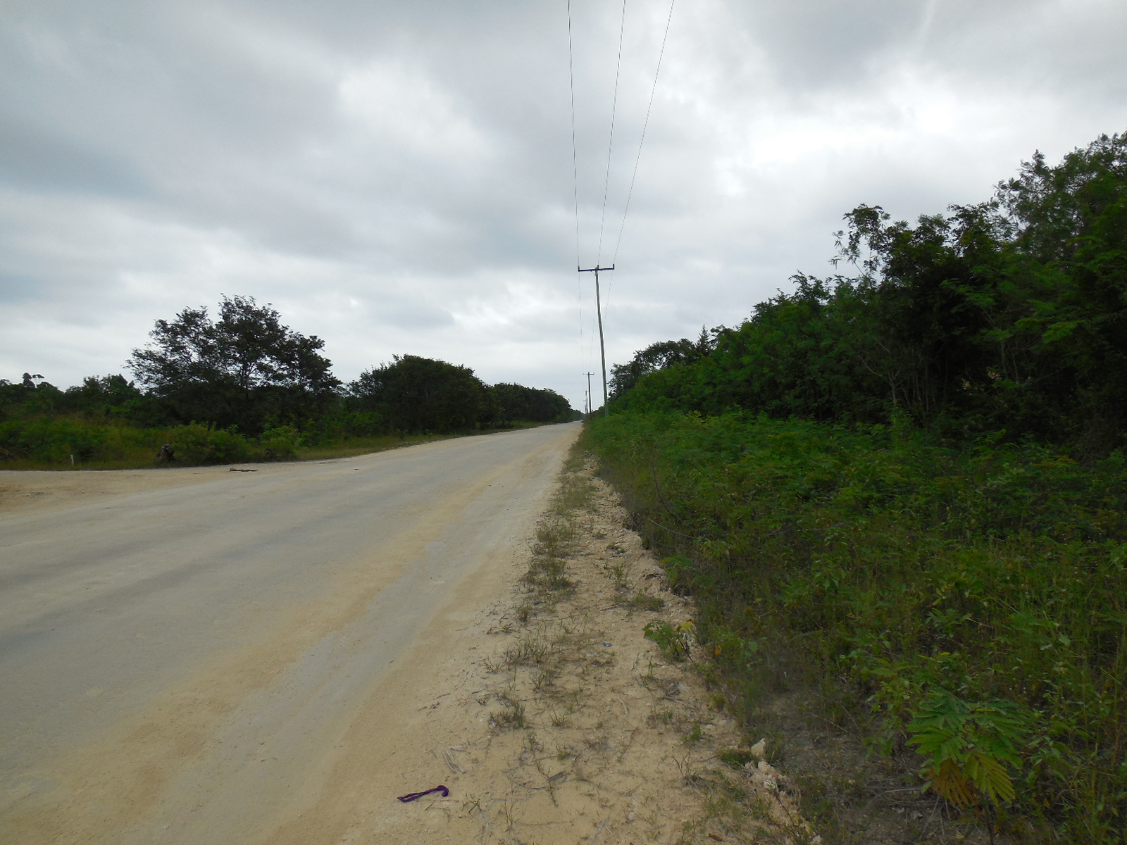 Consejo Road Acreage Lot 1808