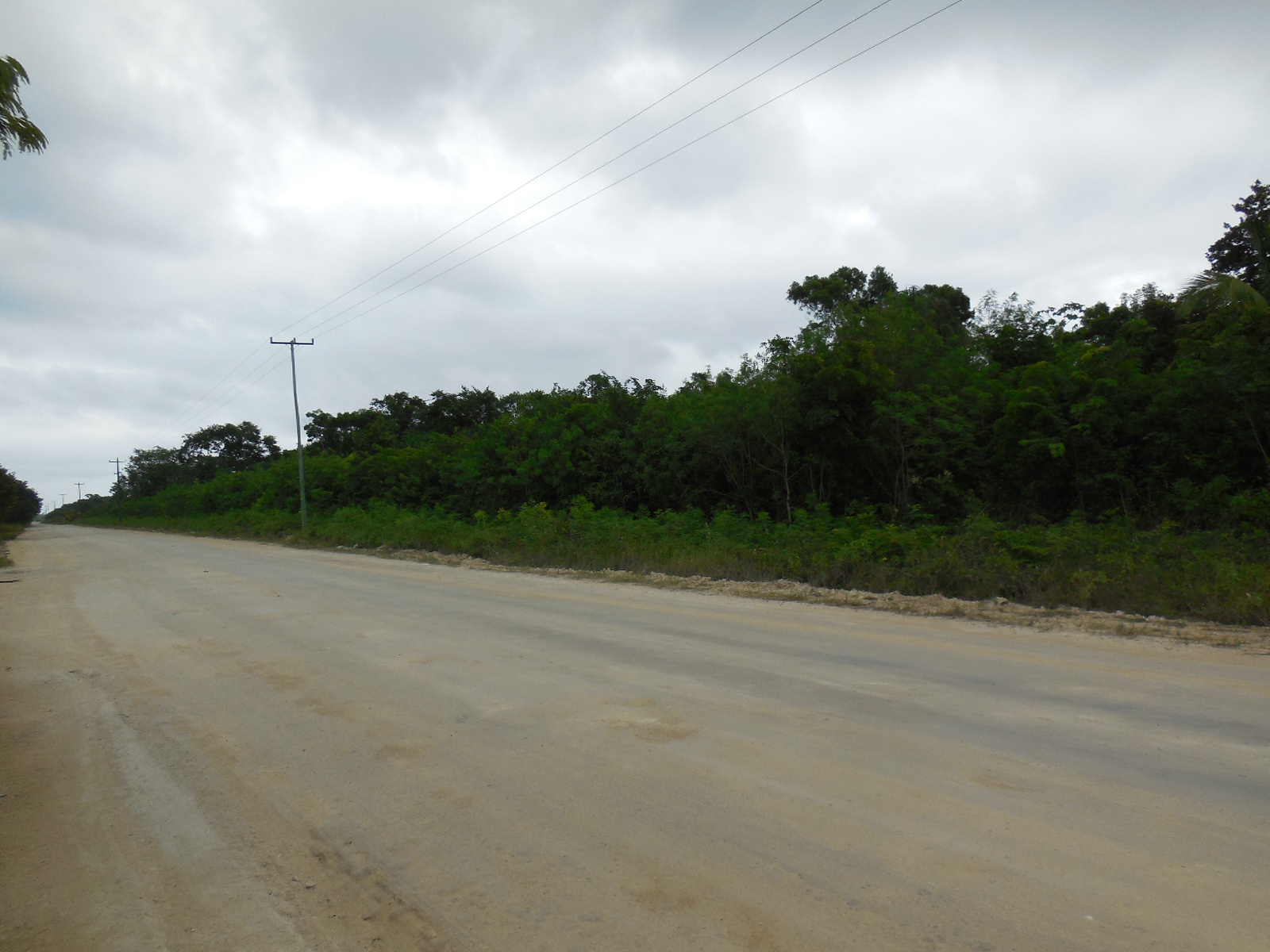 Consejo Road Acreage Lot 1808