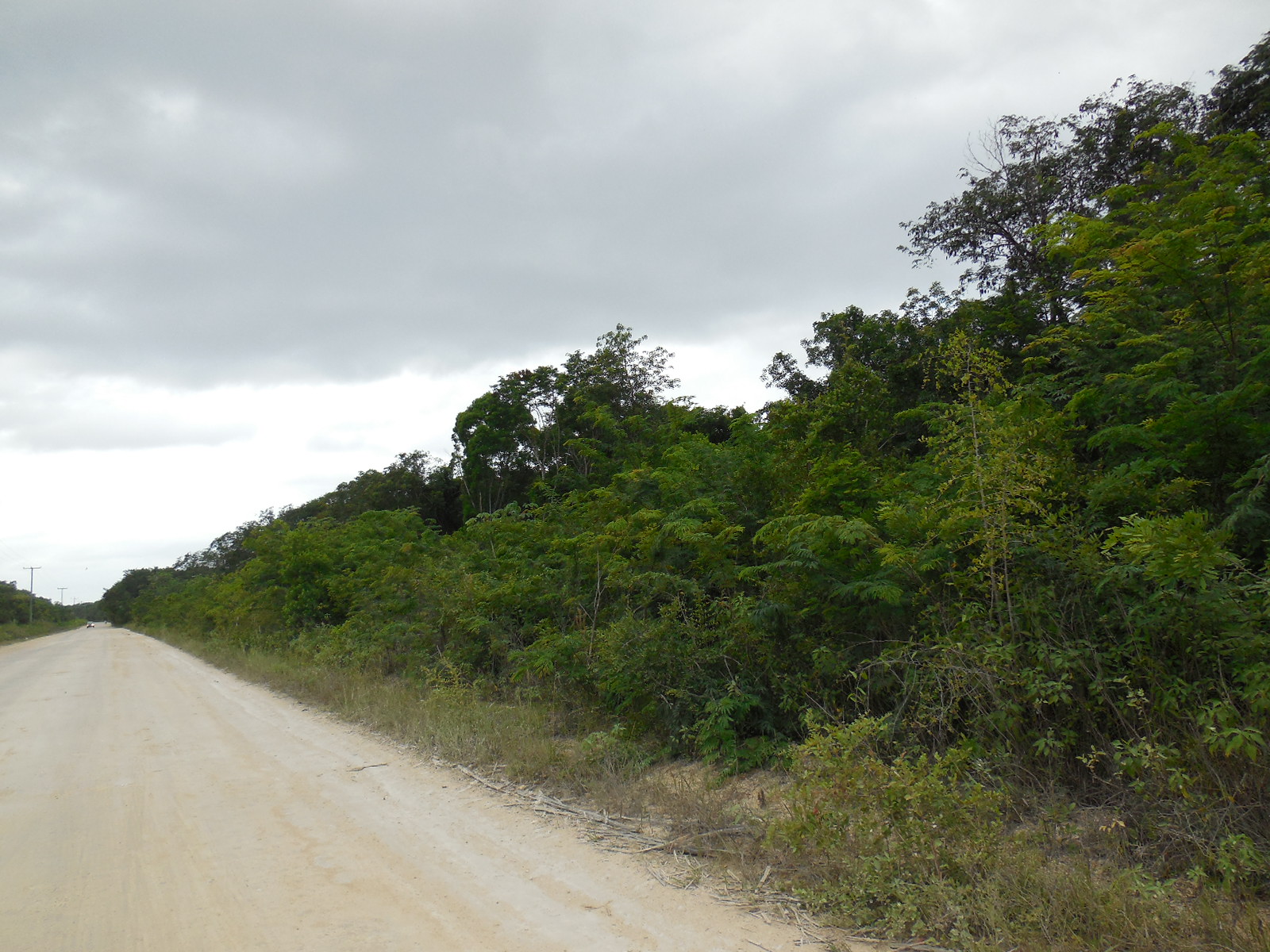 Consejo Road Acreage Lot 116