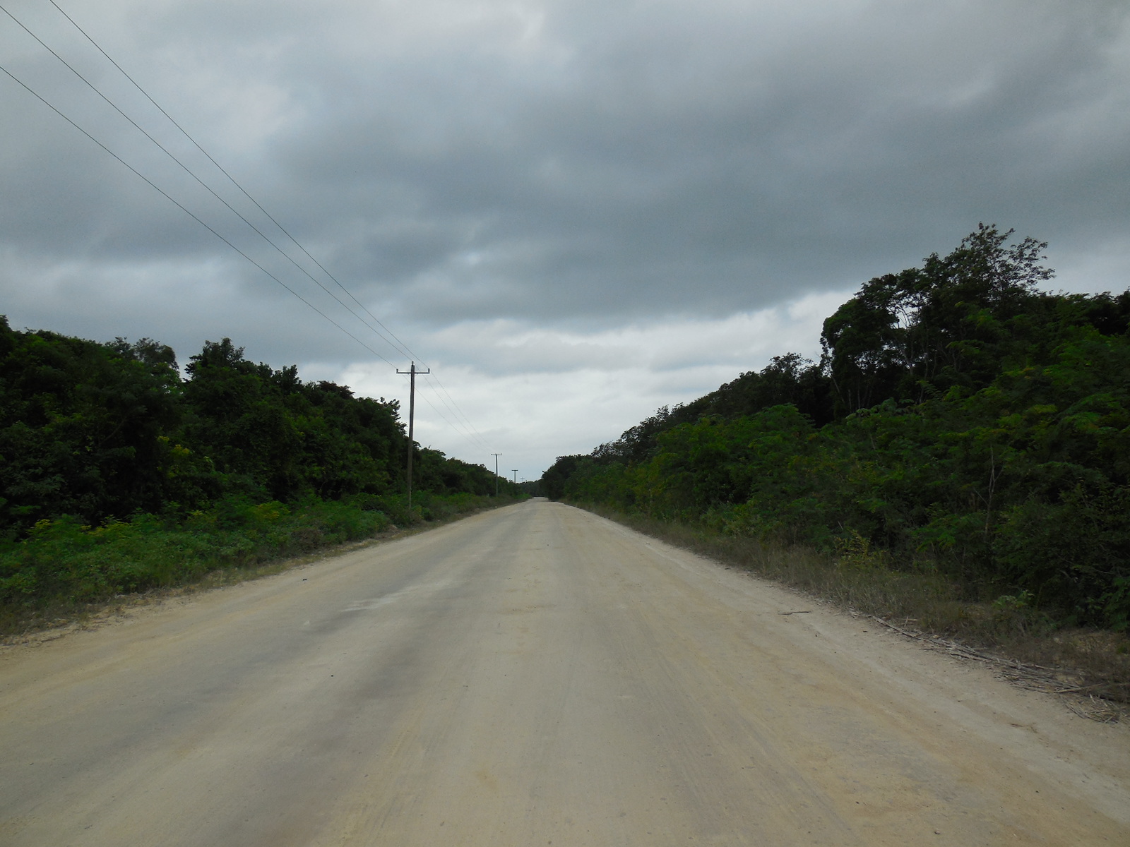 Consejo Road Acreage Lot 116