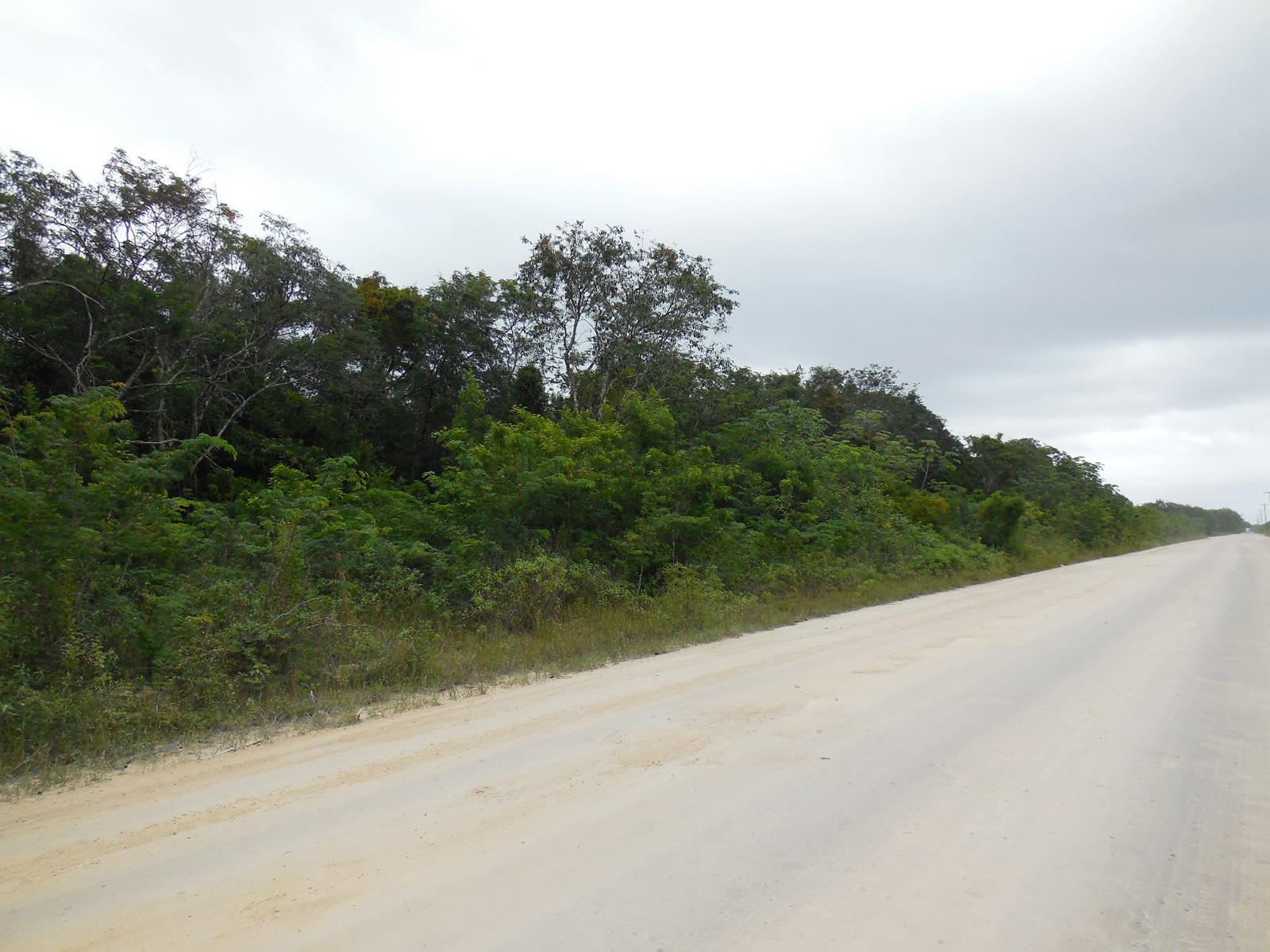 Consejo Road Acreage Lot 116