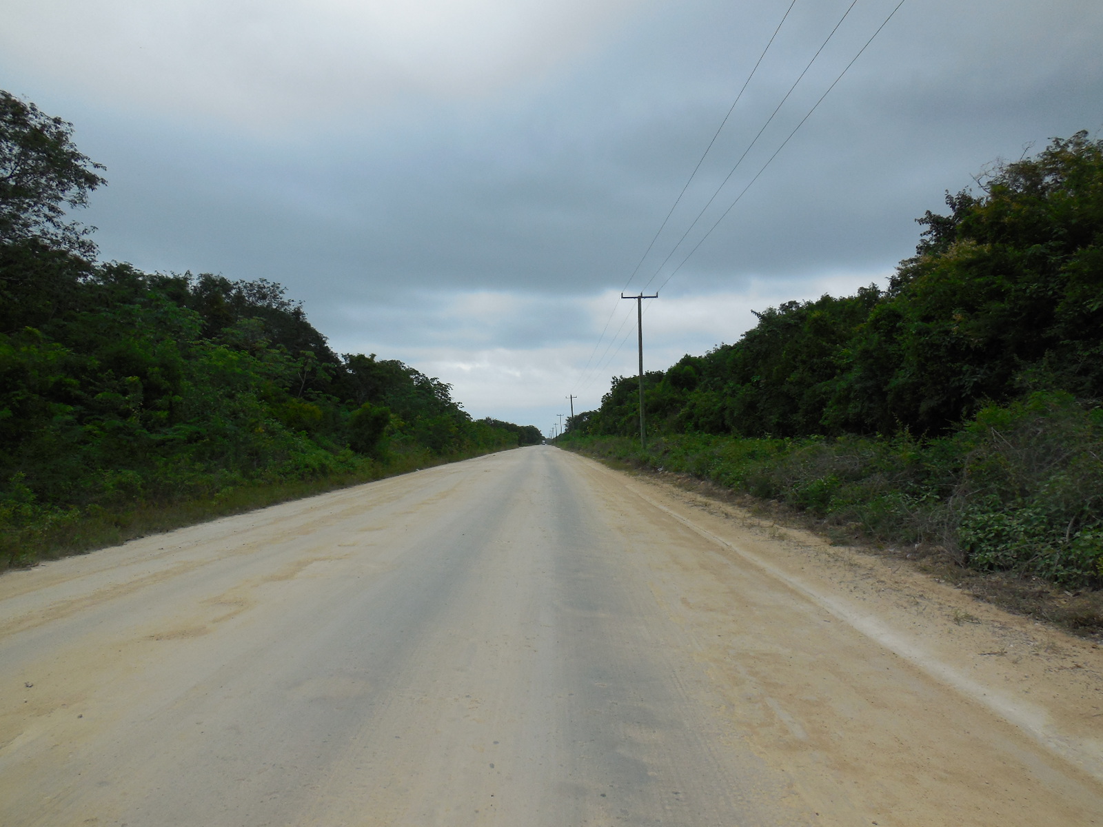 Consejo Road Acreage Lot 116