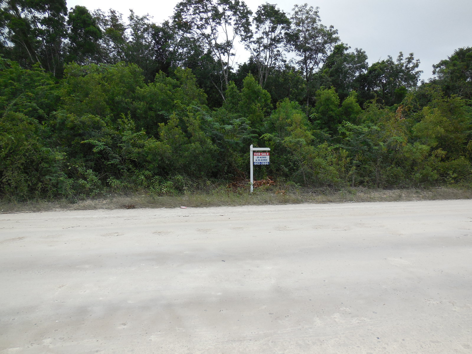 Consejo Road Acreage Lot 116