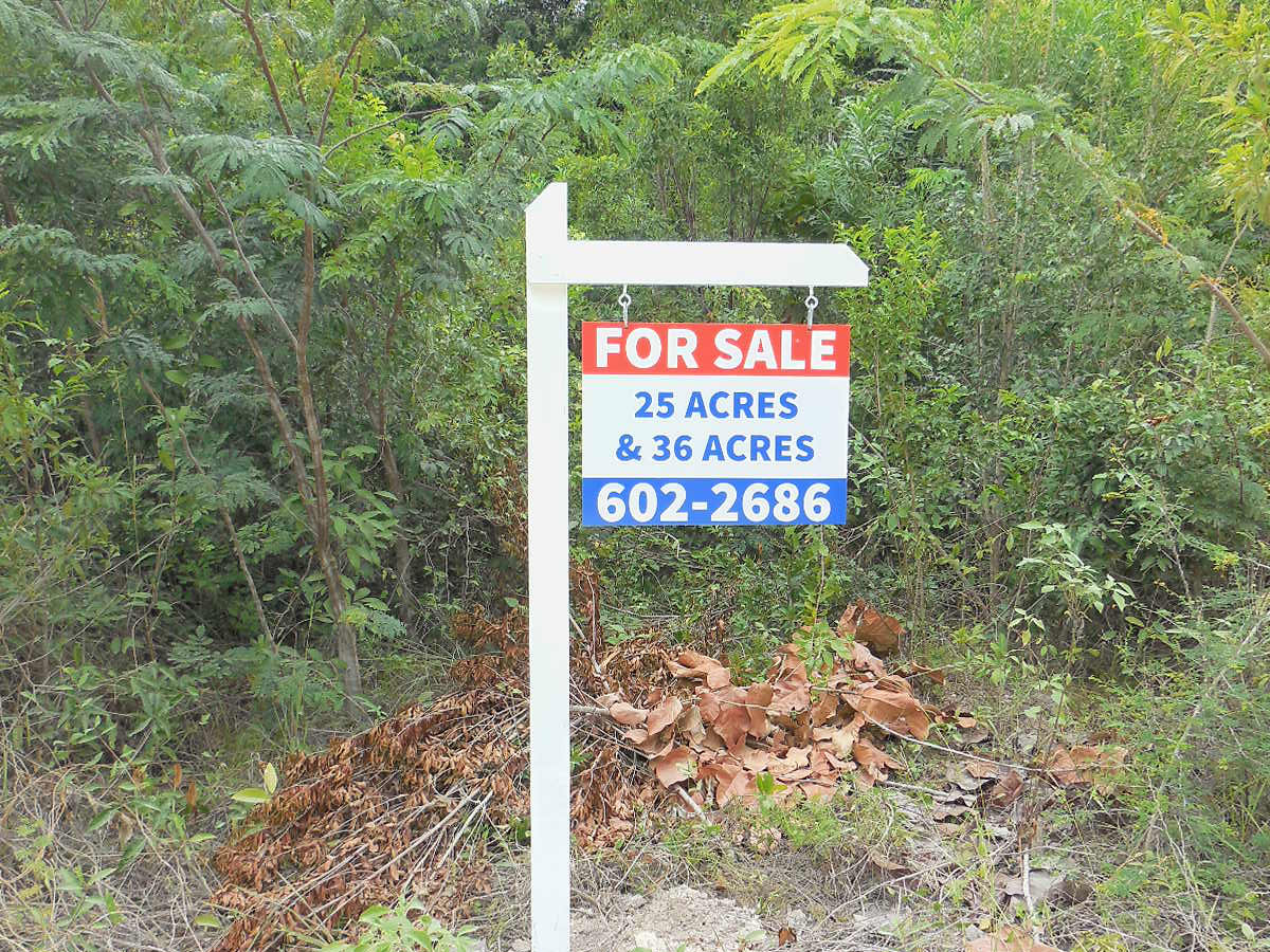 Consejo Road Acreage Lot 116