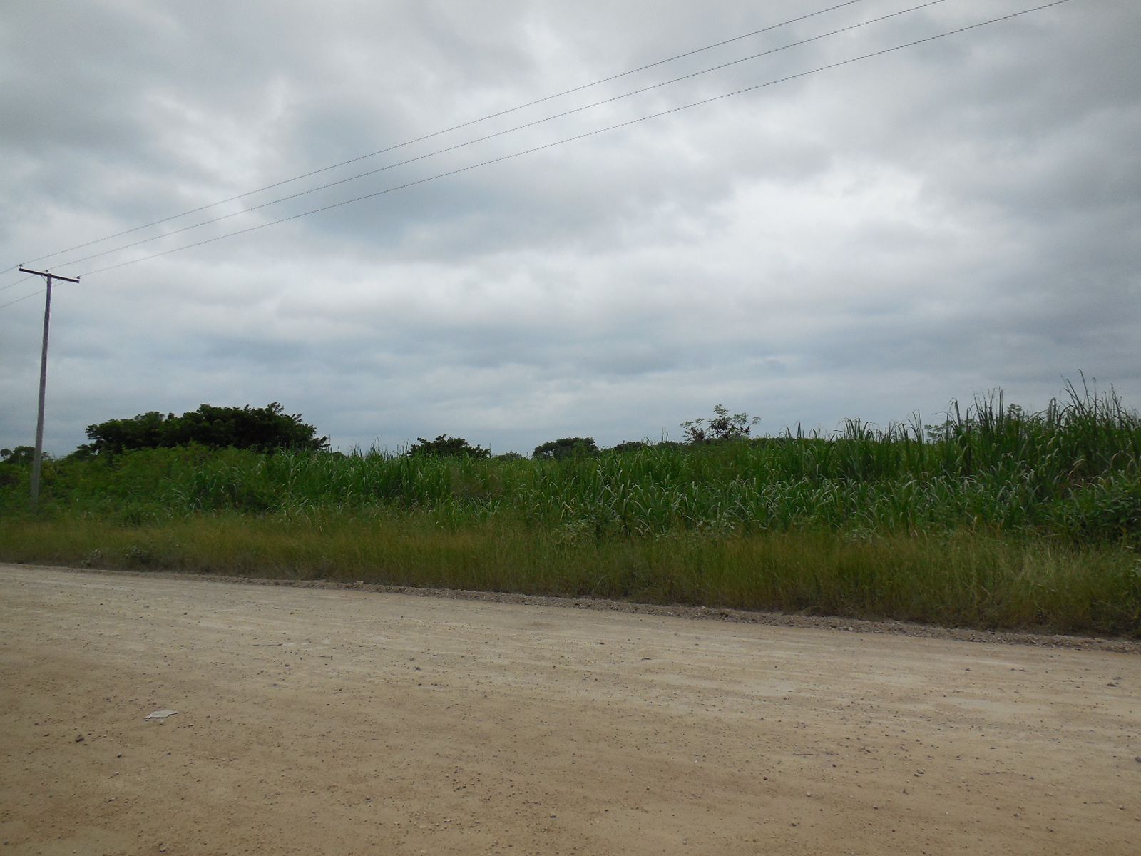 Consejo Road Acreage Lot 1323