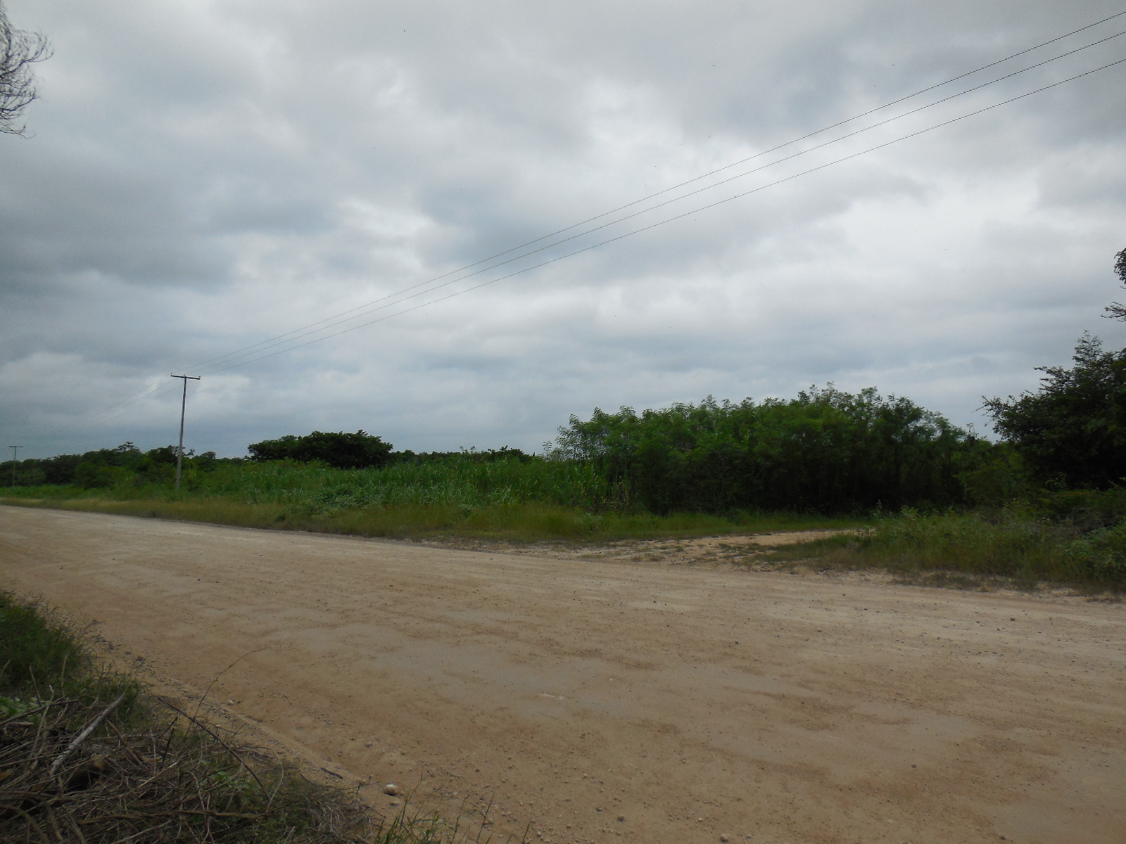 Consejo Road Acreage Lot 1323