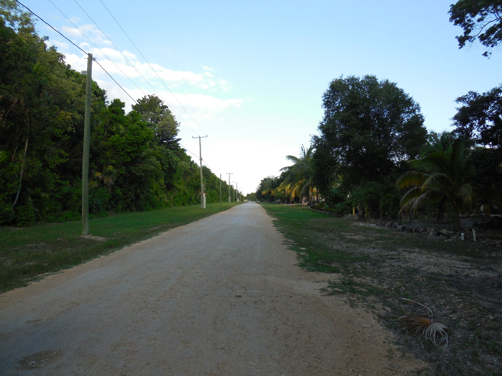 Consejo Road Acreage Lot 201