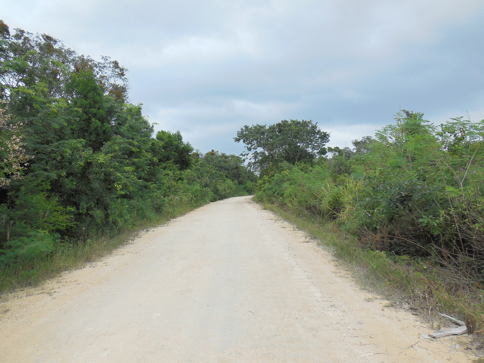 Consejo Road Acreage Lot 201