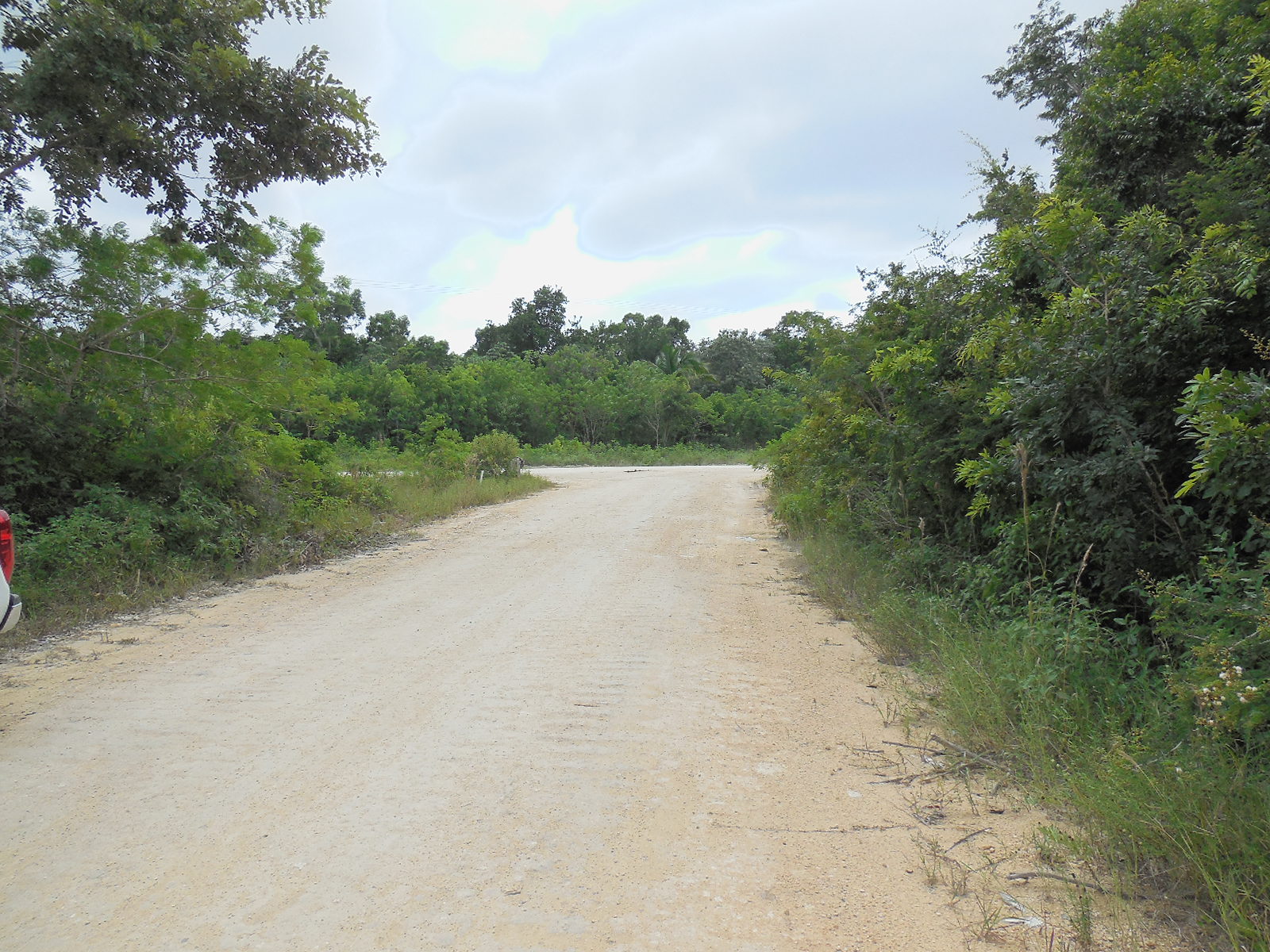 Consejo Road Acreage Lot 201