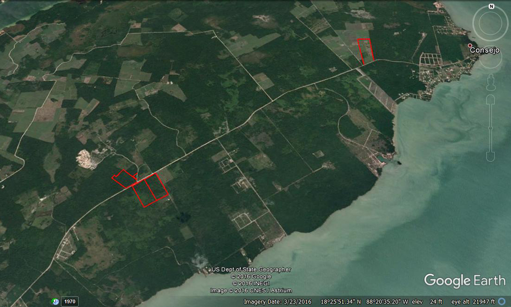 Belize Farm & Acreage for Sale On The Consejo Road near Corozal, Belize