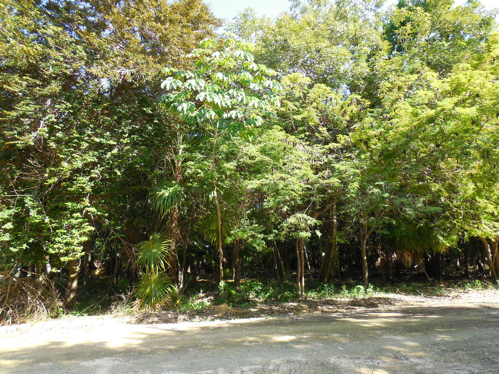 Mayan Seaside Lot 37