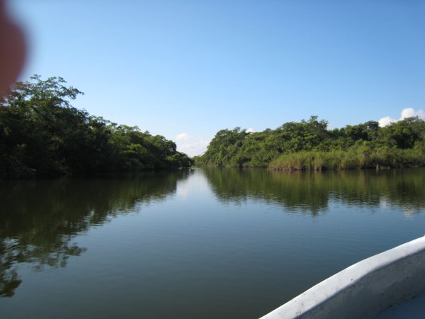 200 Acres on the New River in Belize