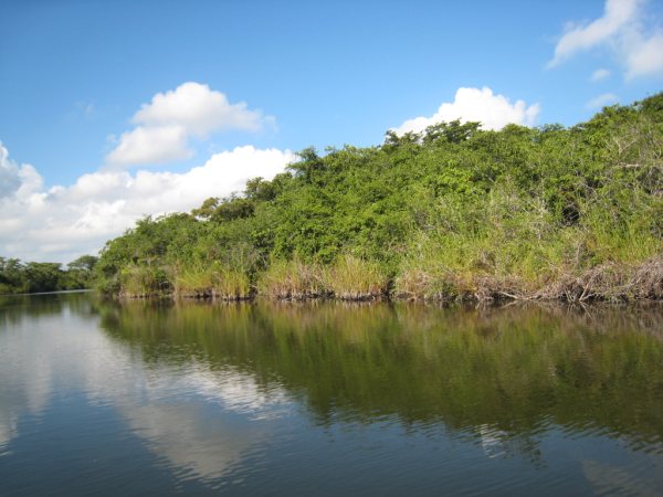 200 Acres on the New River in Belize