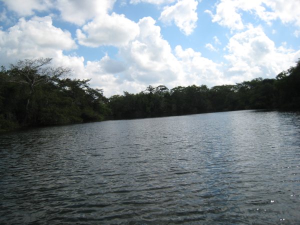 200 Acres on the New River in Belize