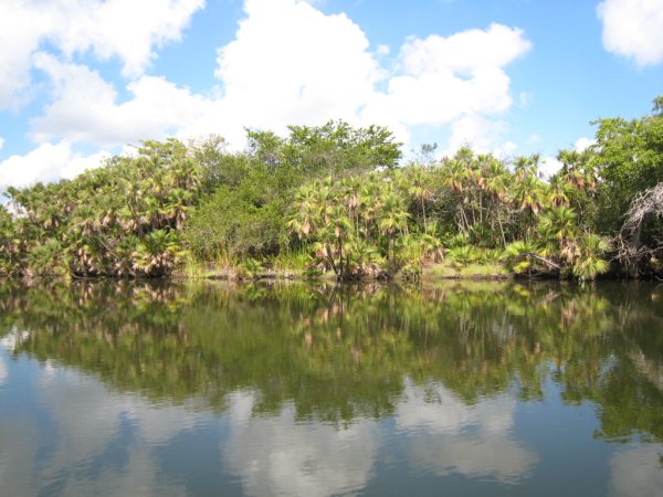 200 Acres on the New River in Belize