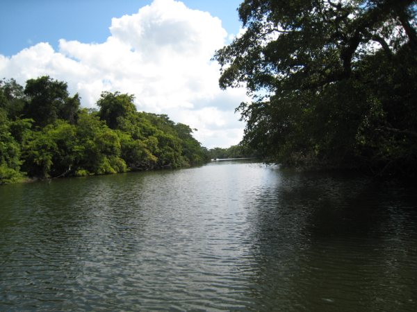 200 Acres on the New River in Belize