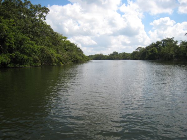 200 Acres on the New River in Belize