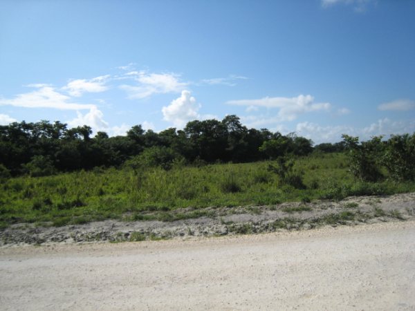 200 Acres on the New River in Belize