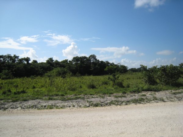 200 Acres on the New River in Belize