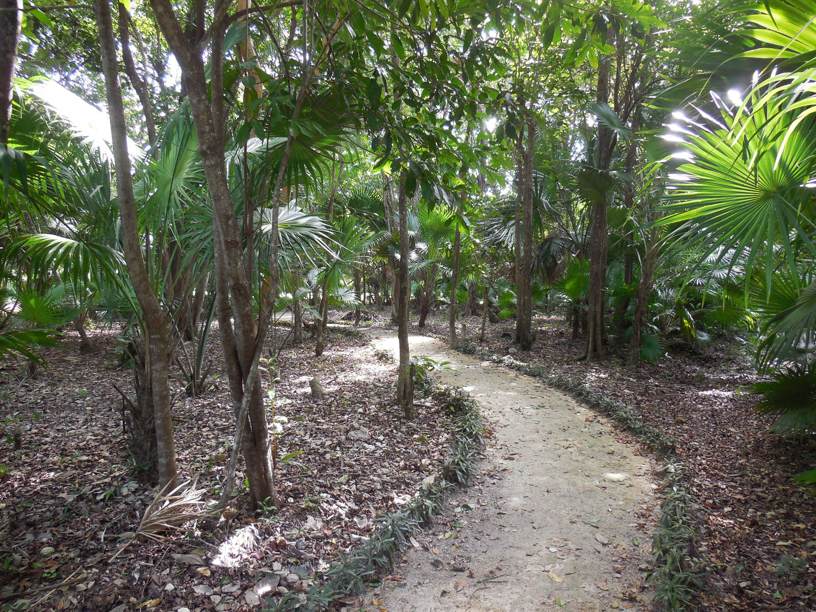 Mayan Seaside Entrance Park